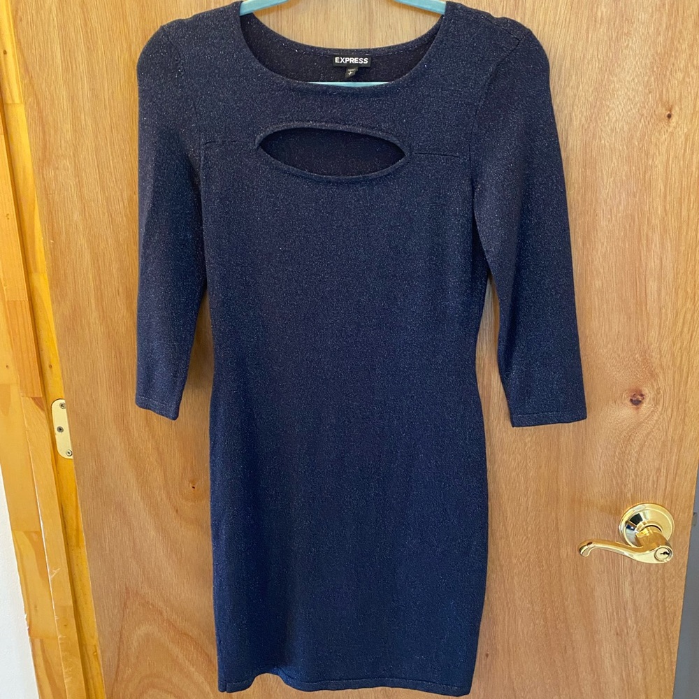 Express sparkly navy blue dress